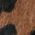 Color Swatch - Leopard
