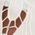 Color Swatch - Ivory