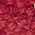 Color Swatch - Red