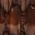 Color Swatch - Brown