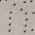 Color Swatch - Grey