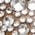 Color Swatch - Silver