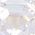 Color Swatch - Clear/Silver