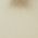 Color Swatch - Gold