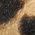 Color Swatch - Leopard Print