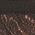 Color Swatch - Nocciola