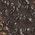 Color Swatch - Brown