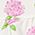 Color Swatch - Floral
