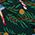 Color Swatch - Nutcracker