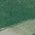 Color Swatch - Green