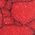 Color Swatch - Red