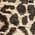 Color Swatch - Leopard