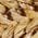 Color Swatch - Natural