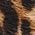 Color Swatch - Leopard