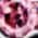Color Swatch - Pink