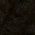 Color Swatch - Black