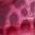 Color Swatch - Pink
