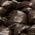 Color Swatch - Brown
