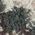 Color Swatch - Umber Multi