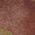 Color Swatch - Lauren Camel
