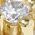 Color Swatch - Gold White CZ