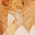 Color Swatch - Orange