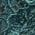 Color Swatch - Green