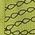 Color Swatch - Green