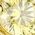 Color Swatch - Gold