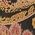 Color Swatch - Gold Paisley