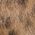 Color Swatch - Animal