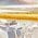 Color Swatch - Gold
