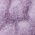 Color Swatch - Purple
