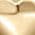 Color Swatch - Gold