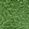 Color Swatch - Green