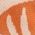 Color Swatch - Orange
