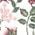 Color Swatch - Floral