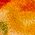 Color Swatch - Yellow