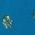 Color Swatch - Blue