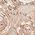 Color Swatch - Brown