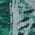 Color Swatch - Pine