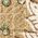 Color Swatch - Green