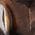 Color Swatch - Brown