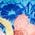 Color Swatch - Blue