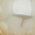 Color Swatch - White