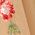 Color Swatch - Floral