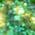 Color Swatch - Green