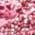 Color Swatch - Pink