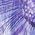 Color Swatch - Purple