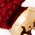 Color Swatch - Red